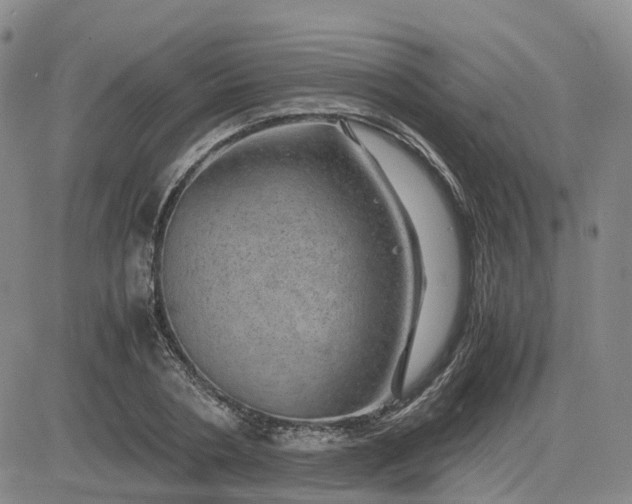 X0000083580786200702231654