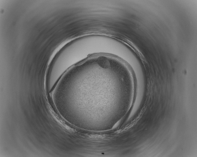 X0000083580788200702231654