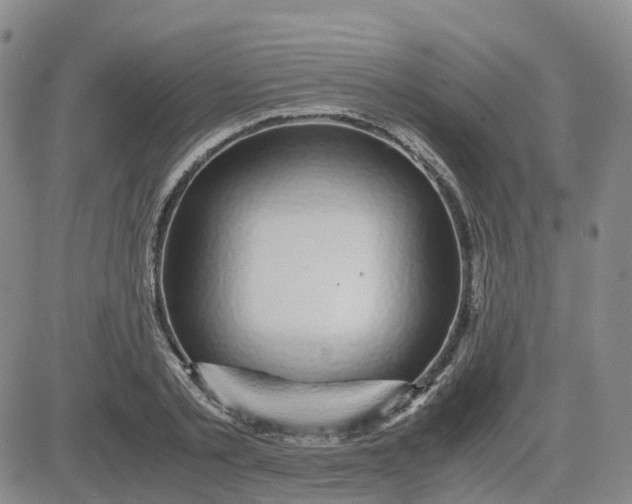 X0000083580789200702231654