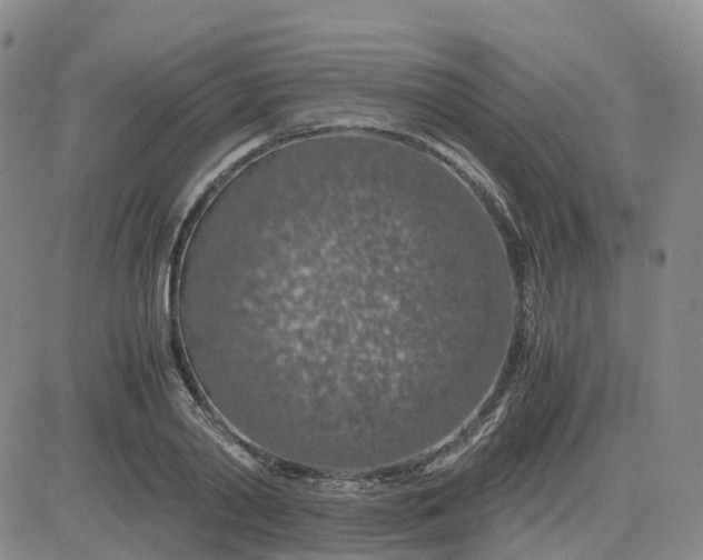 X0000083580790200702231654