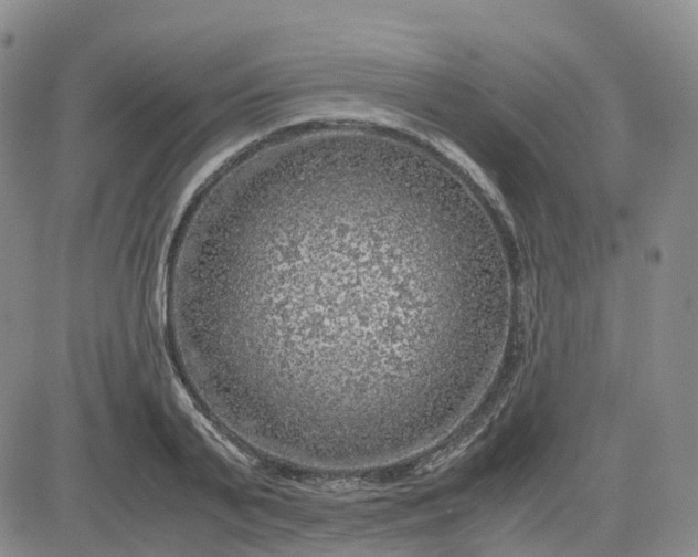 X0000083580791200702231654