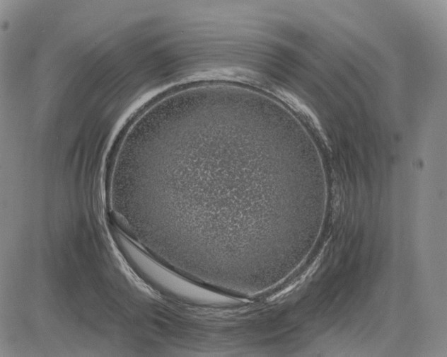 X0000083580792200702231654