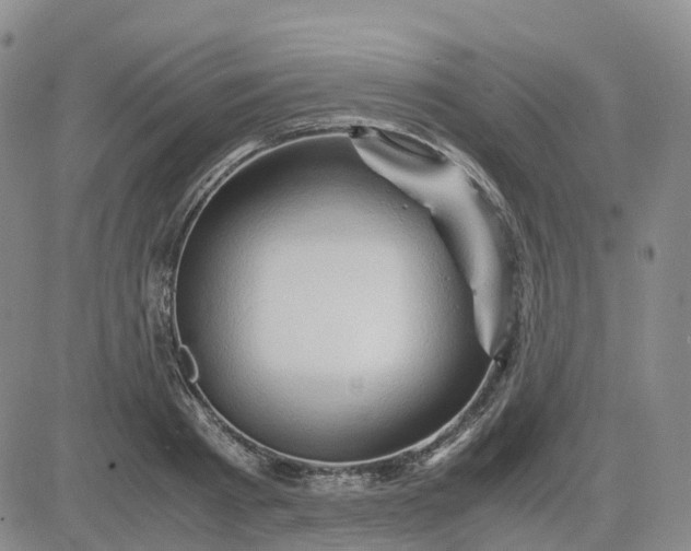 X0000083580793200702231654