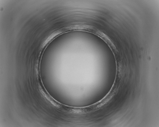 X0000083580794200702231654