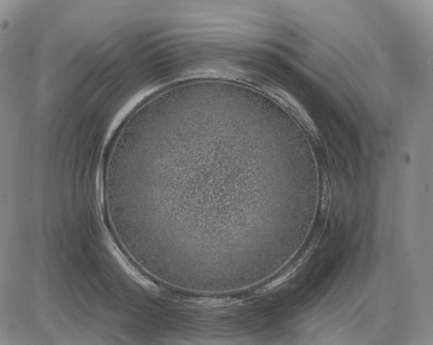 X0000083580796200702231654