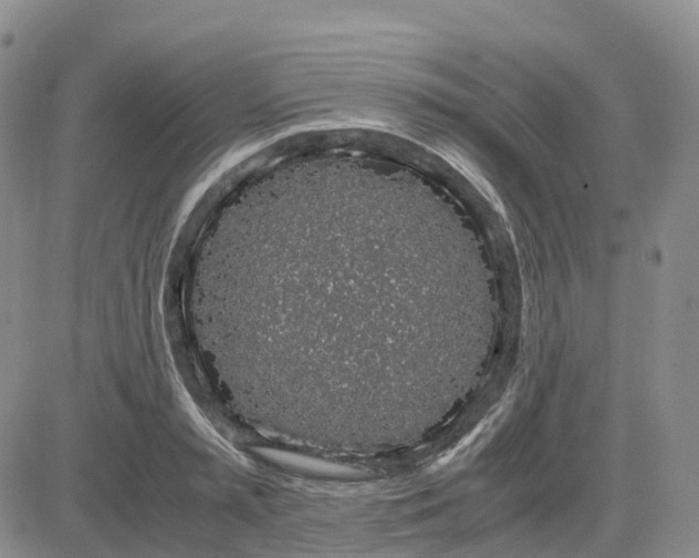 X0000083580797200702231654