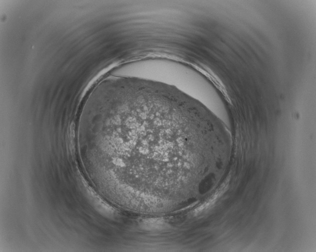 X0000083580798200702231654