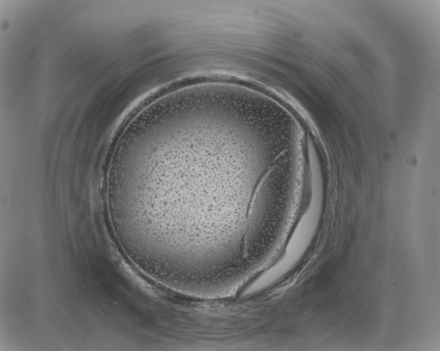 X0000083580799200702231654