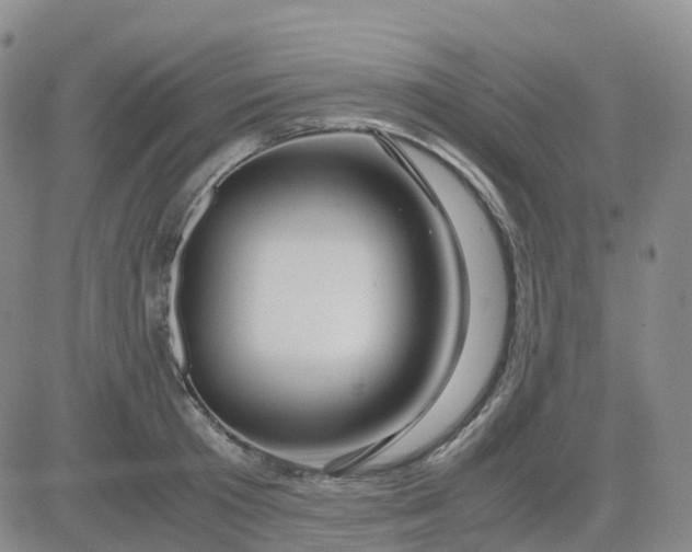 X0000083580801200702231654