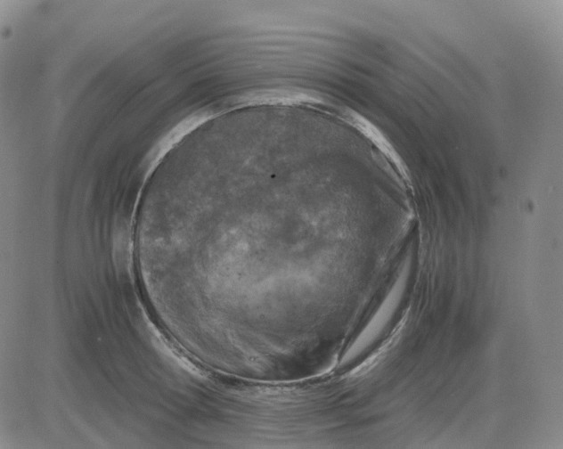 X0000083580802200702231654