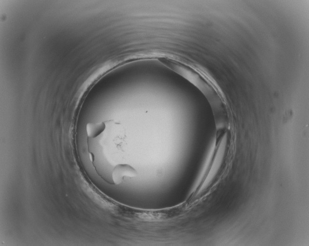 X0000083580805200702231654