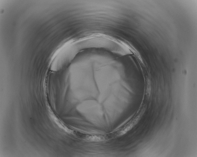 X0000083580806200702231654