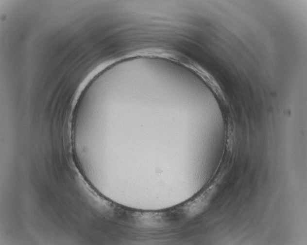 X0000083580808200702231654