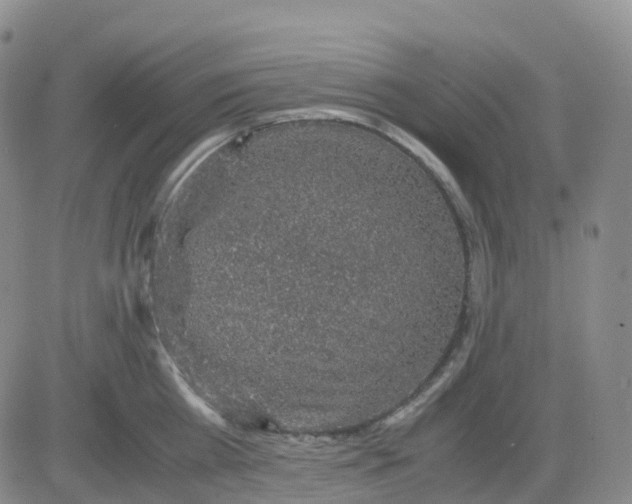 X0000083580809200702231654