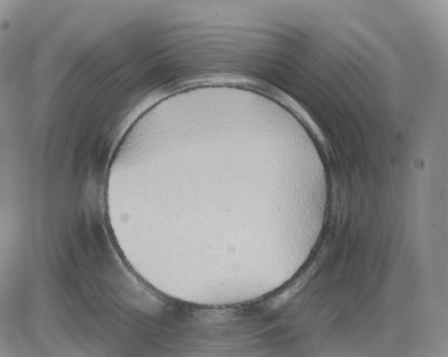 X0000083580810200702231654