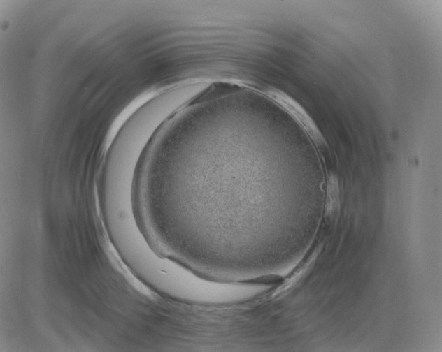 X0000083580812200702231653