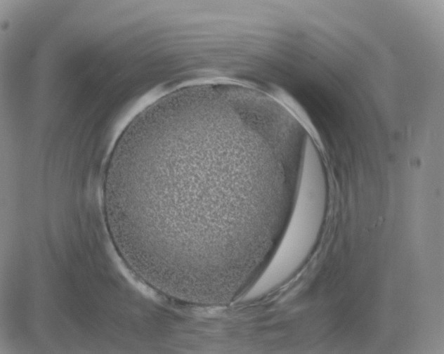 X0000083580813200702231653