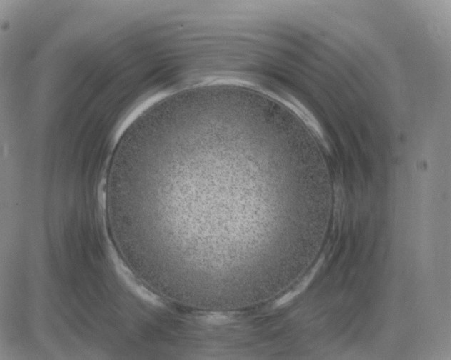 X0000083580814200702231653