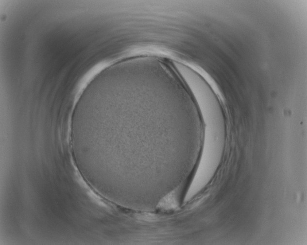 X0000083580815200702231653