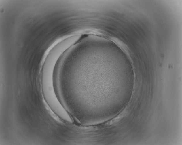 X0000083580816200702231653