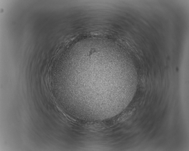 X0000083580817200702231653