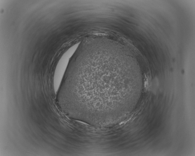 X0000083580819200702231653