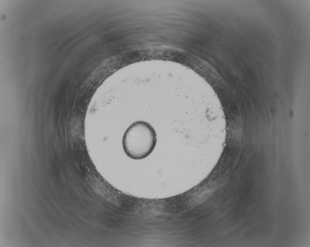 X0000083580820200702231653