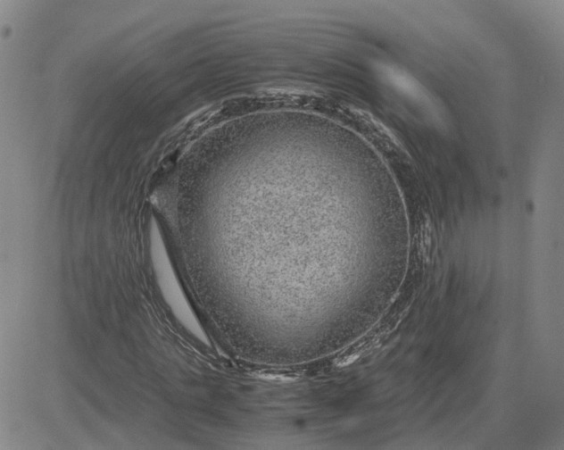 X0000083580821200702231653