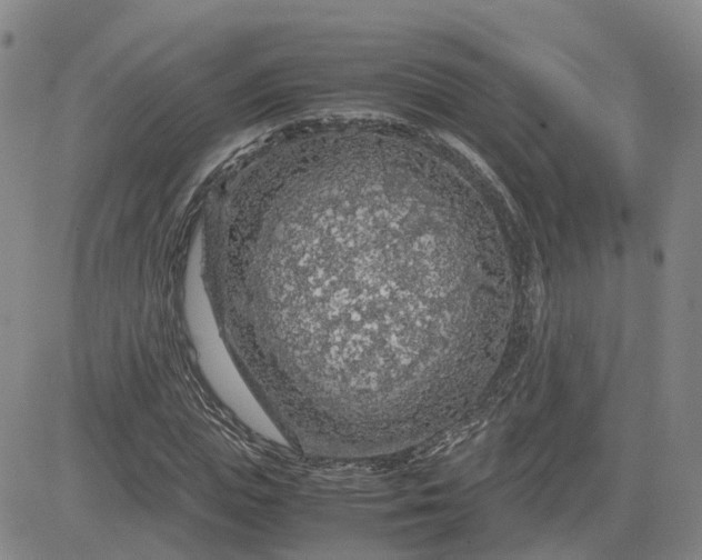 X0000083580823200702231653