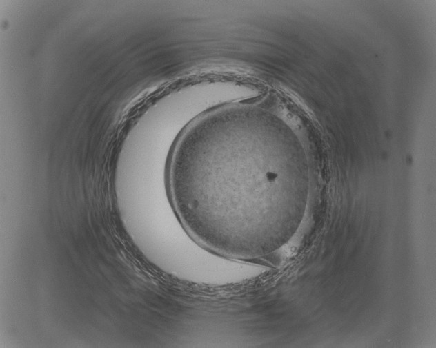 X0000083580824200702231653