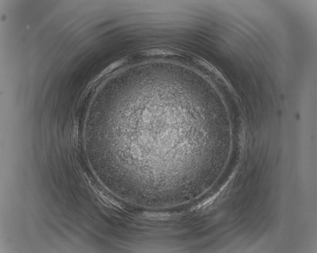 X0000083580825200702231653