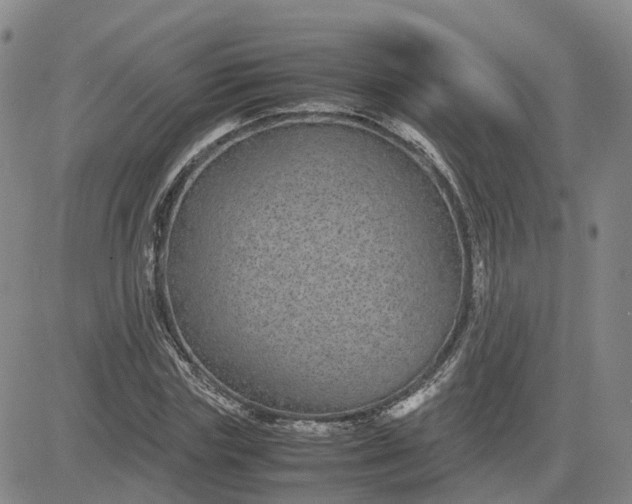 X0000083580827200702231653