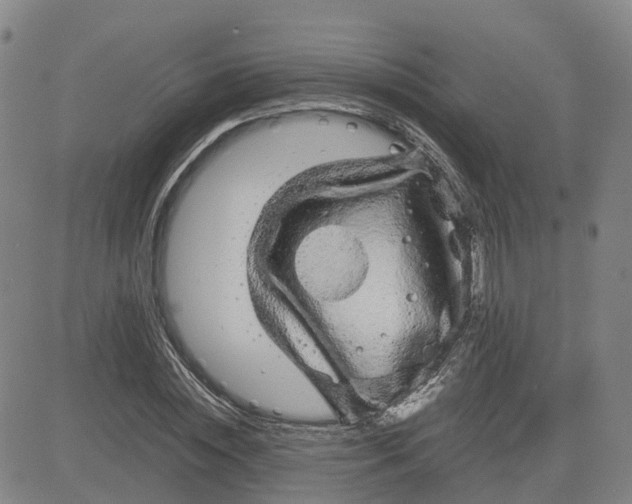 X0000083580828200702231653