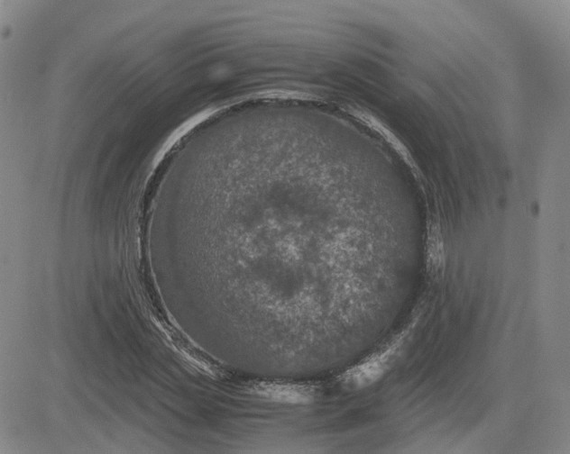 X0000083580829200702231653