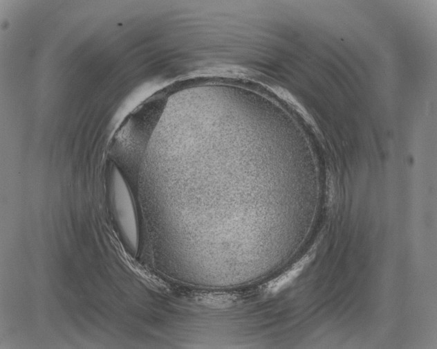 X0000083580830200702231653