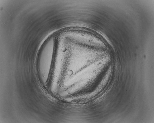 X0000083580832200702231653