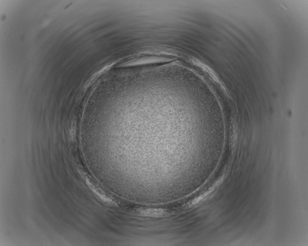 X0000083580833200702231653