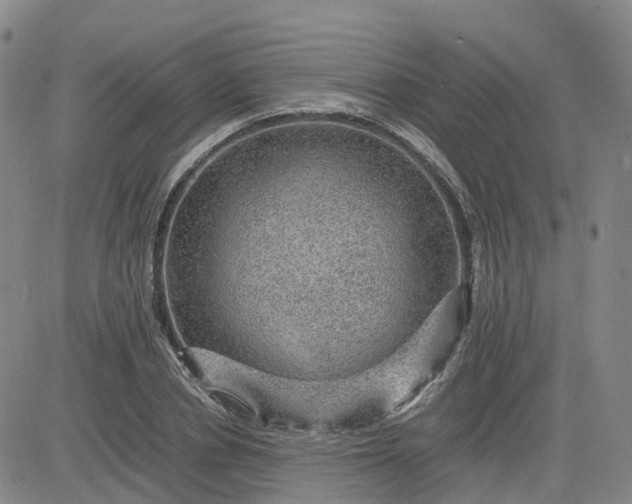 X0000083580834200702231653