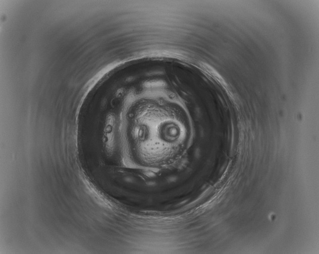 X0000083580836200702231653