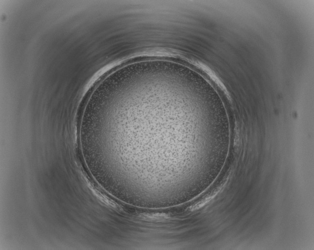 X0000083580837200702231653