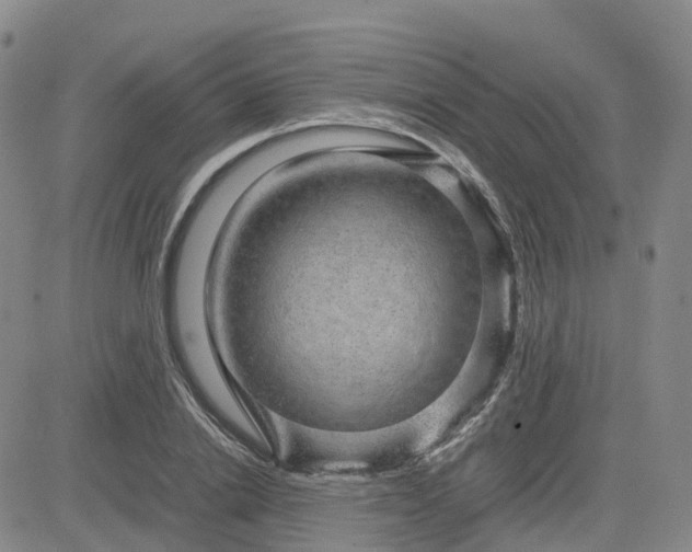 X0000083580838200702231653