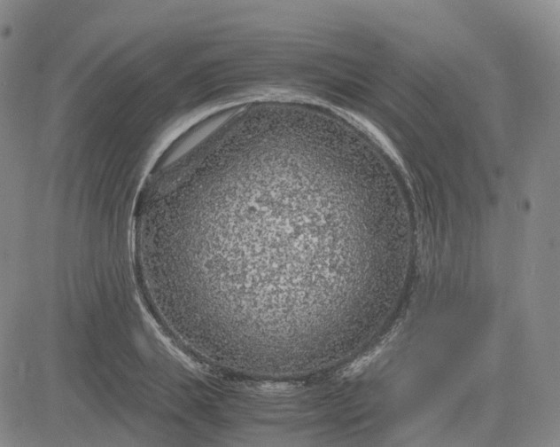 X0000083580839200702231653