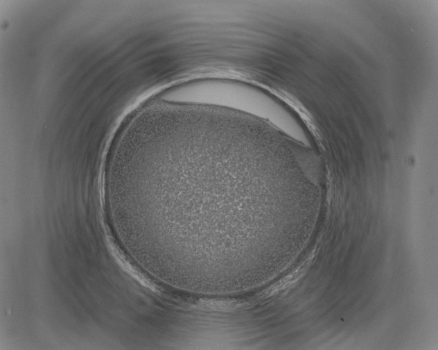 X0000083580840200702231653