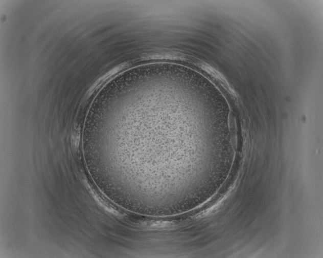 X0000083580841200702231653