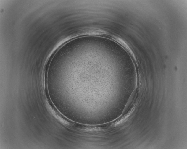 X0000083580843200702231653