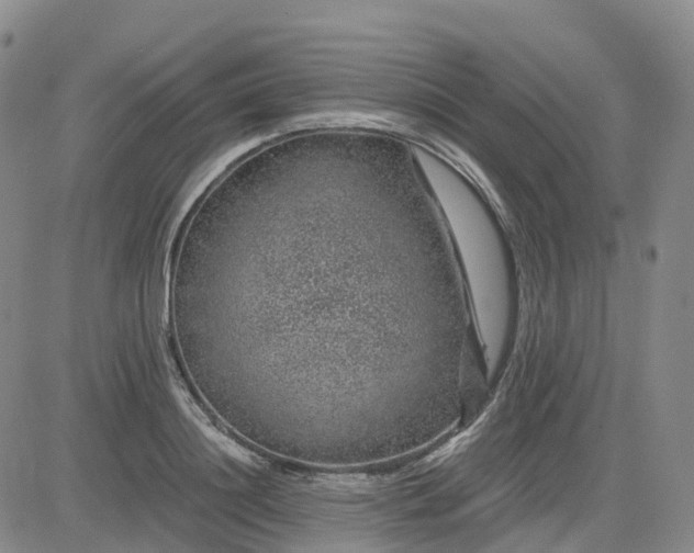 X0000083580844200702231653