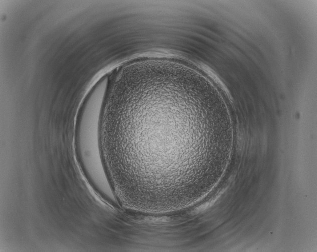 X0000083580845200702231653