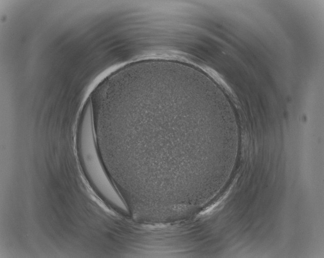 X0000083580846200702231653