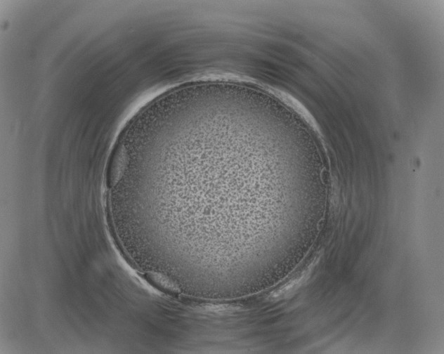 X0000083580847200702231653