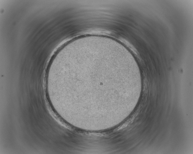 X0000083580848200702231653